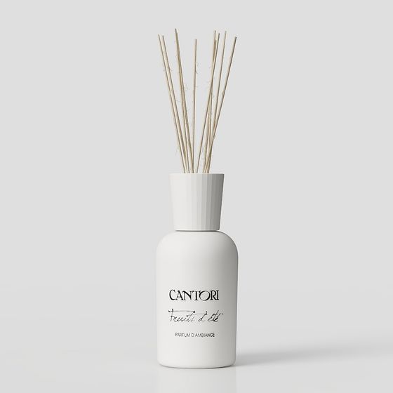 Stylish Cantori Diffuser 3D model for Creative Projects