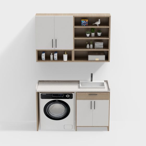 Laundry Room Oasis 3D model