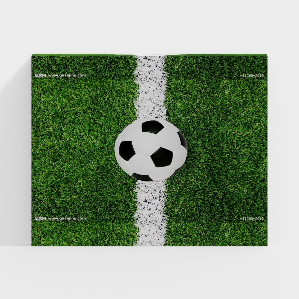 Football and Grass 3D model for Dynamic Scenes