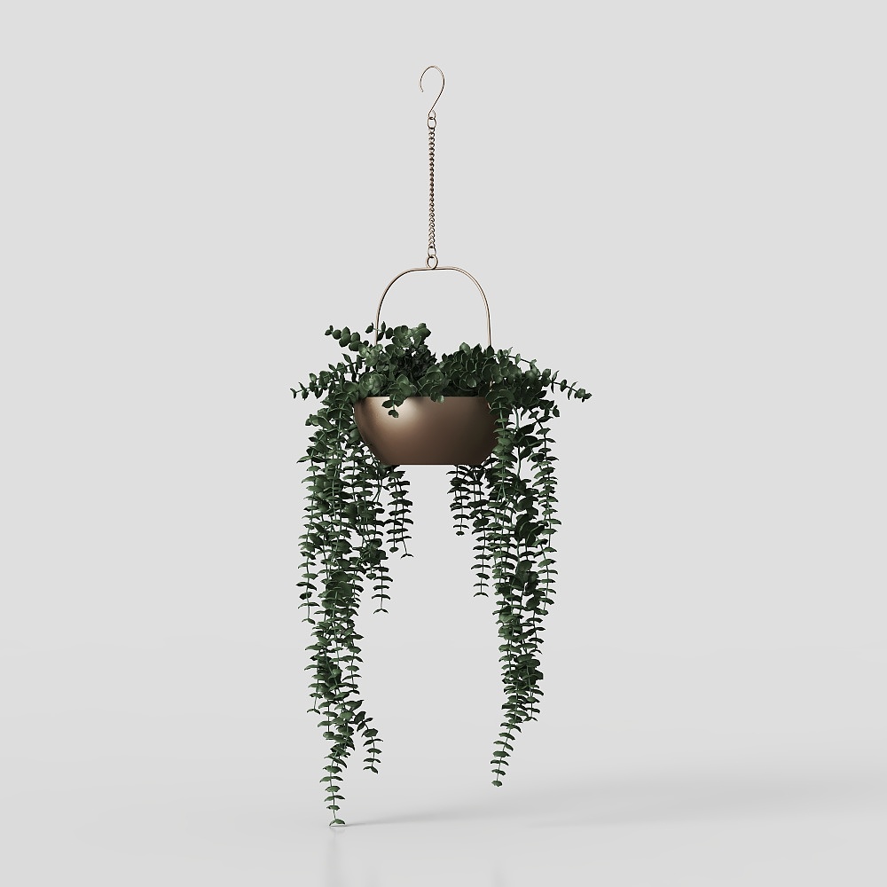 Modern Hanging Basket