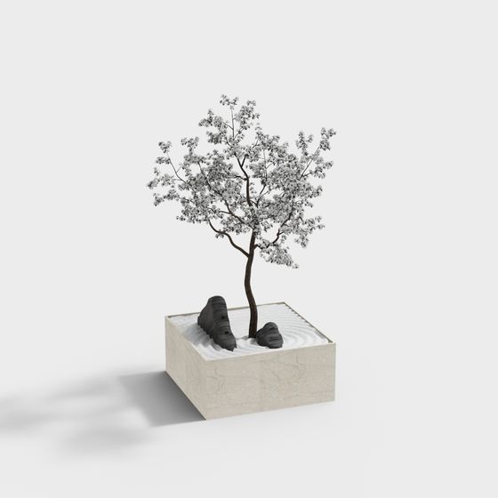 モダン植物乾燥風景