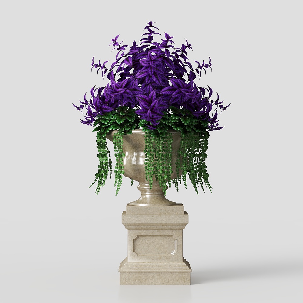 European Outdoor Flowers