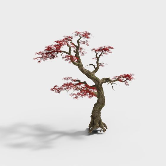 Realistic Red Maple Tree 3D model