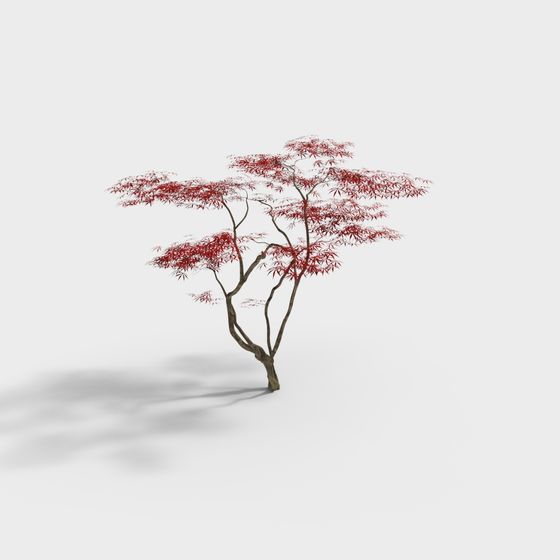 Realistic Red Maple Tree 3D model