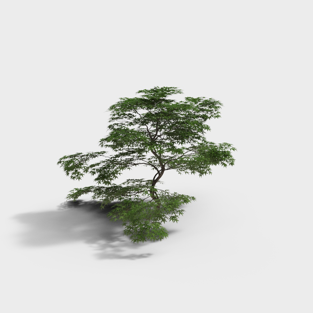 Vibrant Maple Tree 3D model