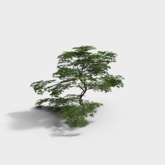 Vibrant Maple Tree 3D model