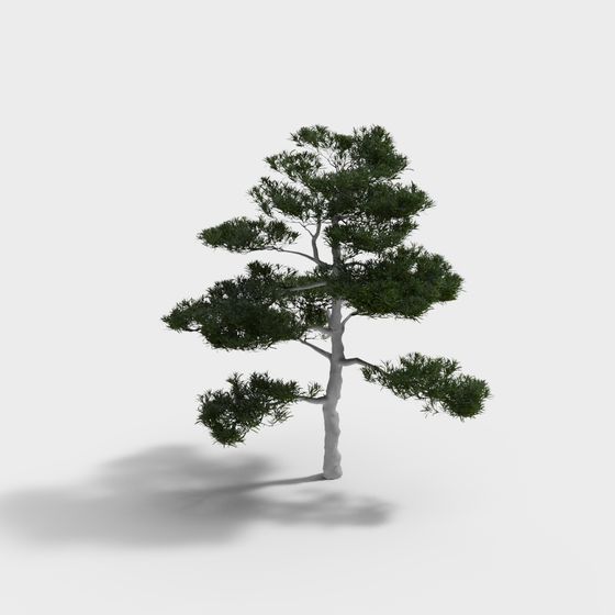 Low Poly Pine Tree 3D model for Creative Projects