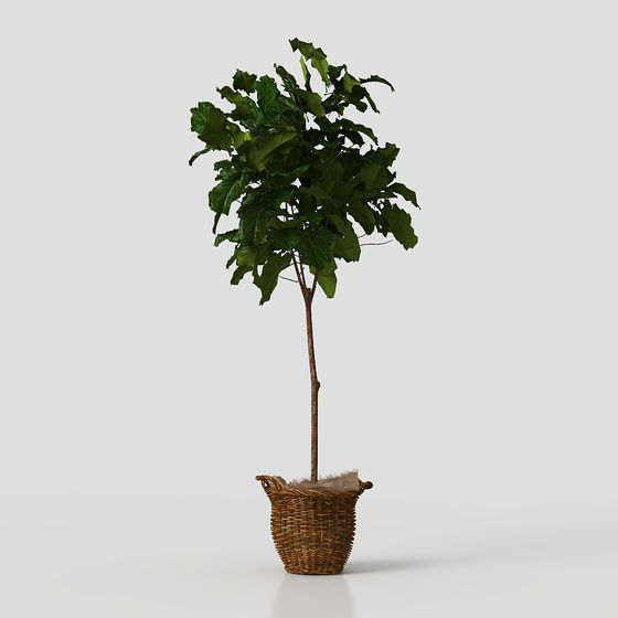 Realistic Indoor Plant 3D Model