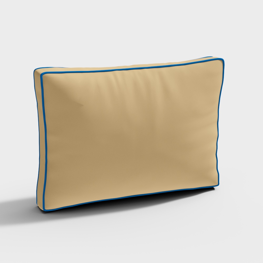 Molteni tuscany drawing Sofa cushion