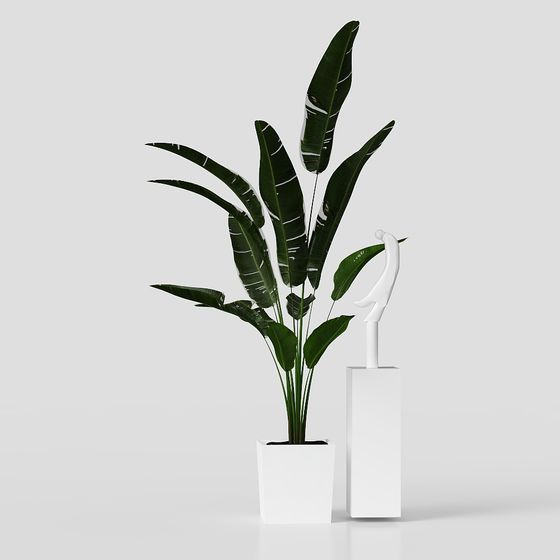 Tropical Style Green Plant 3D model