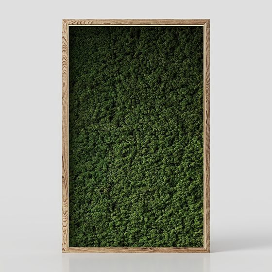 モダンコートヤードプランツウォール