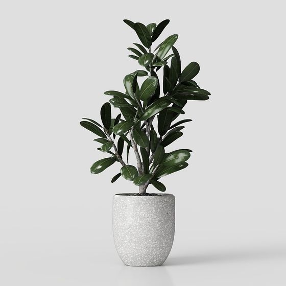 Trang trí thực vật xanh