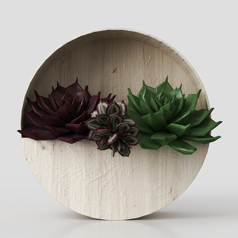 Moderne wandmontierte Blumentöpfe