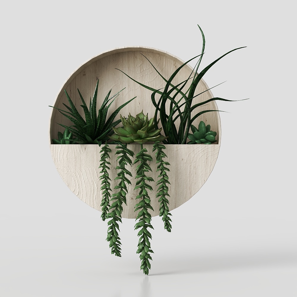 Moderne Wandmontierte Pflanzenübertöpfe