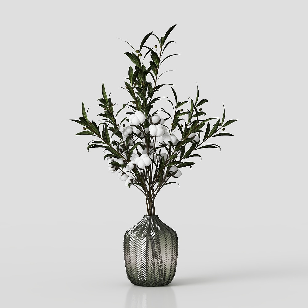 Piante Verdi Minimaliste Moderne