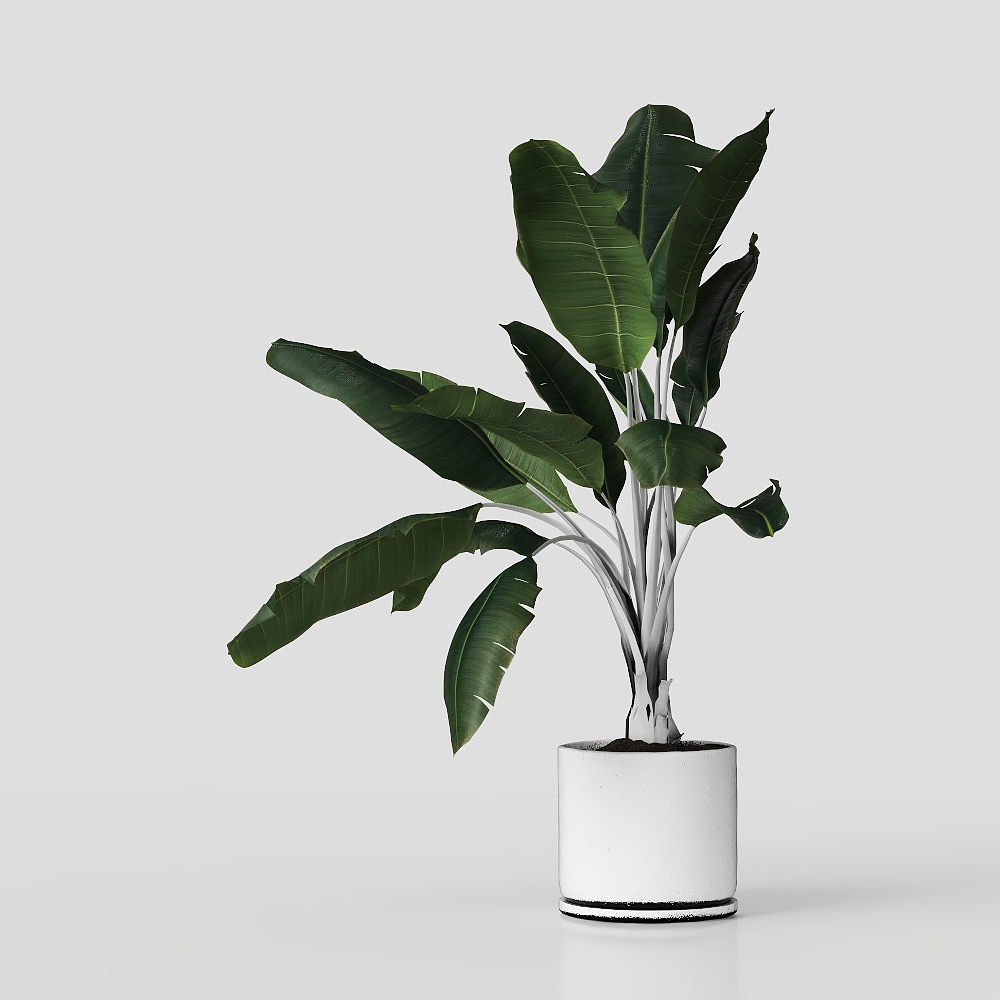 Plantas verdes minimalistas