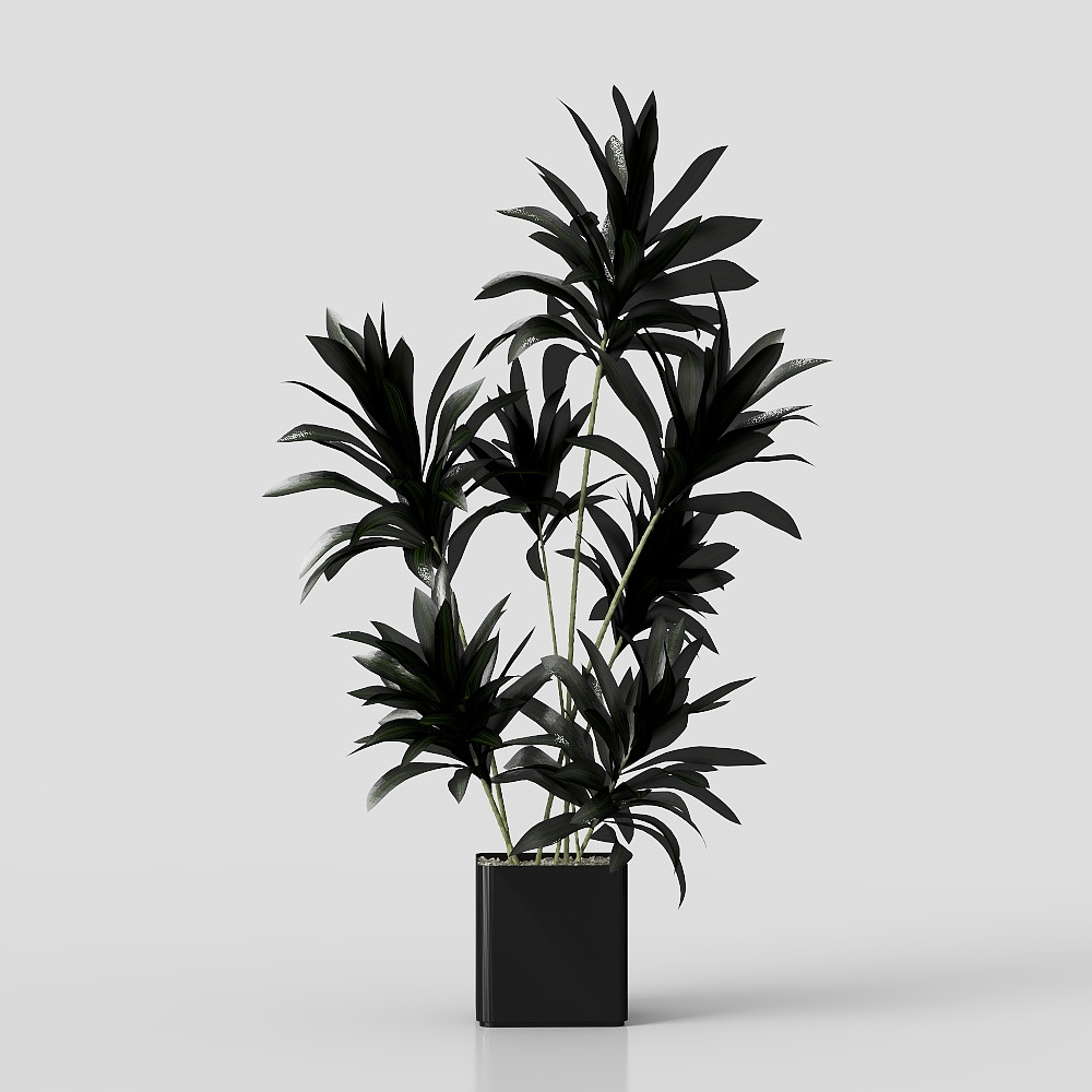 Minimalist Green Plants