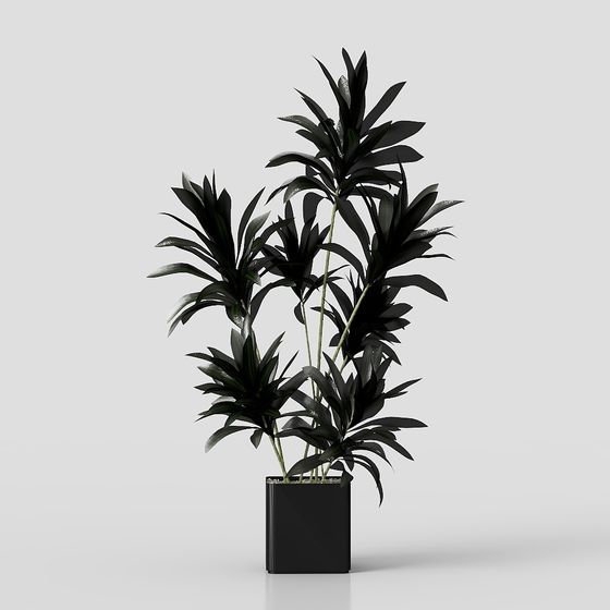 Minimalist Green Plants