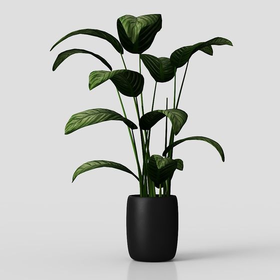 Tropical Green Plant 3D model