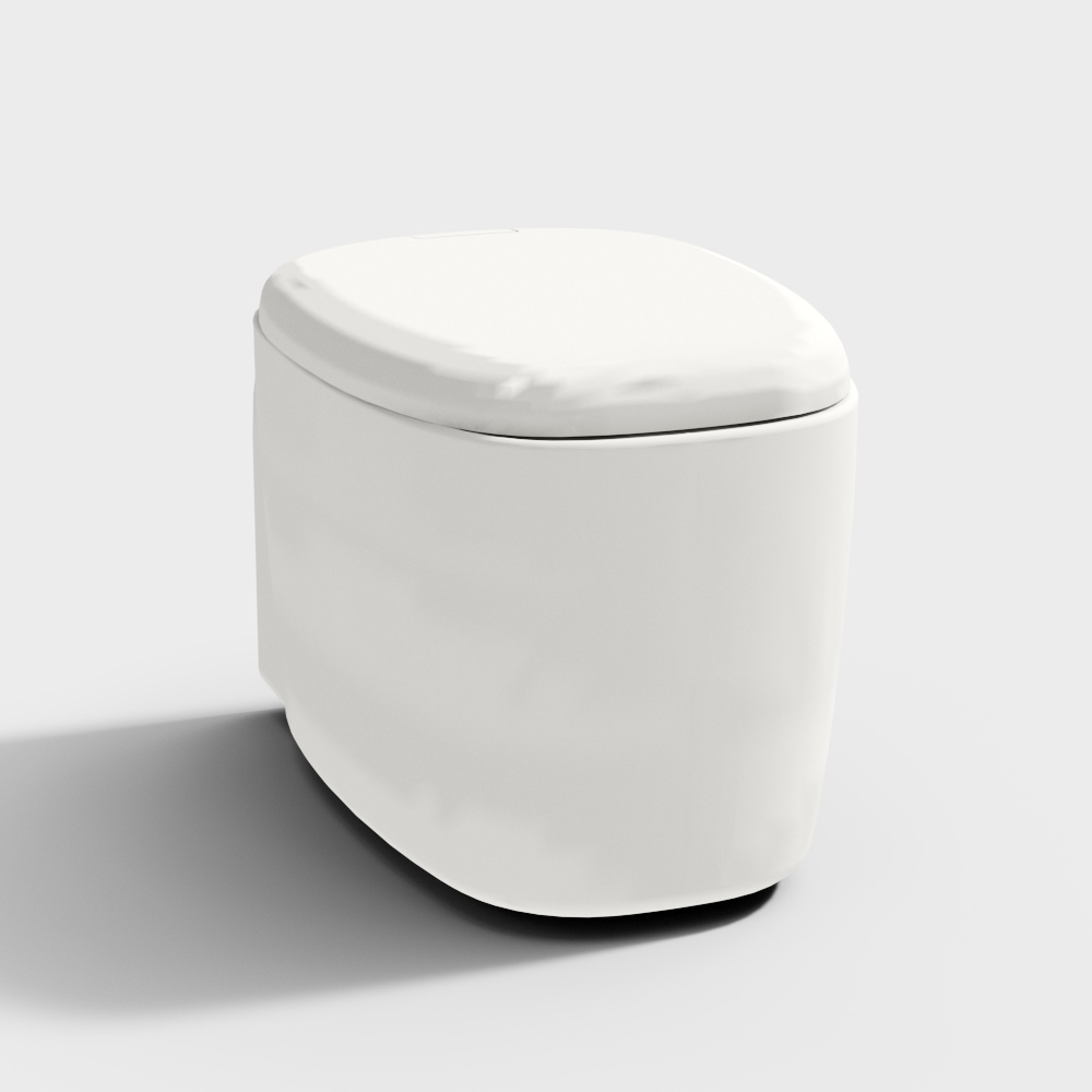 Minimalist bathroom toilet