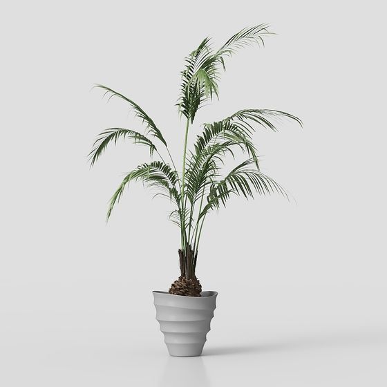 Low Poly Indoor Plant 3D Model for Modern Interiors