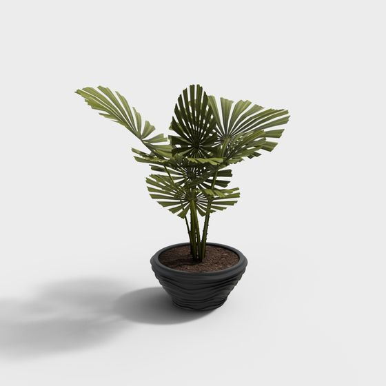 Low-Poly Fan Palm Potted Plant 3D model