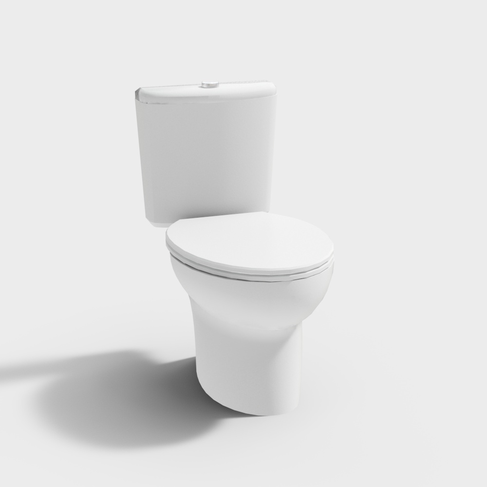 White  household toilet