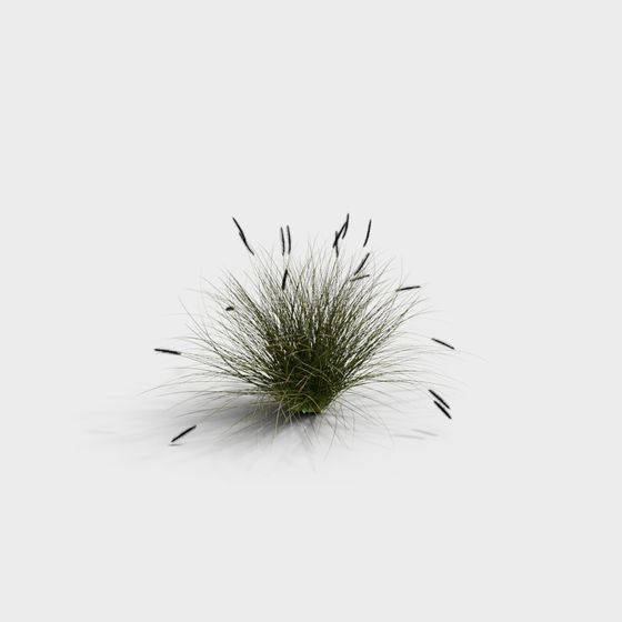 Natural Low-Poly Grass 3D Model for Creatives