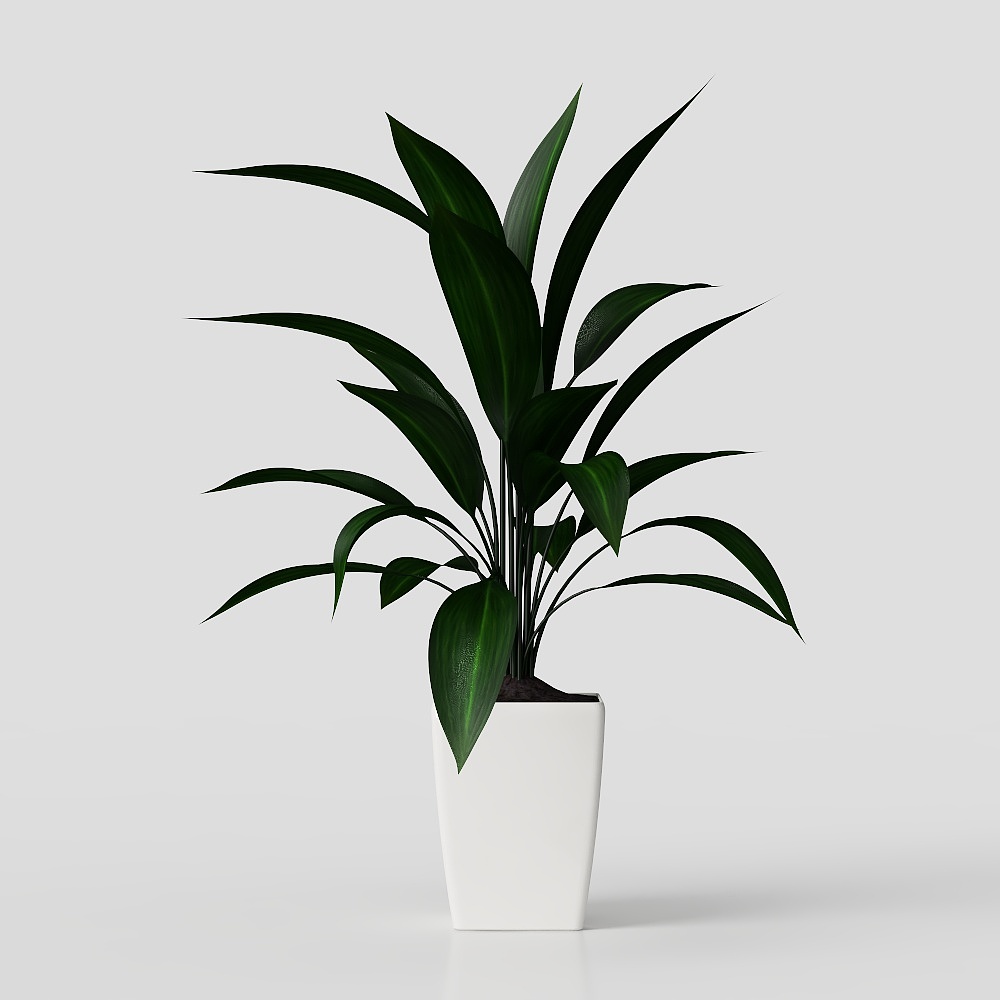 Végétation extérieure