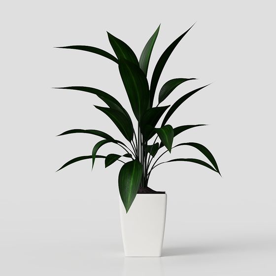 Végétation extérieure