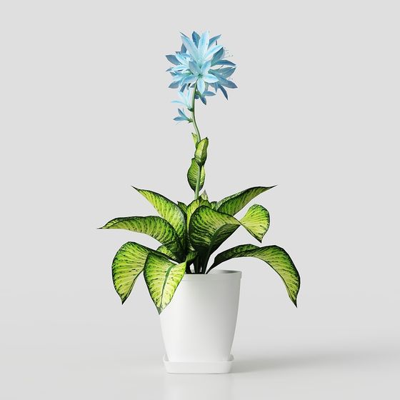 Blue Bloom - High-Detail Low-Poly Plant 3D model