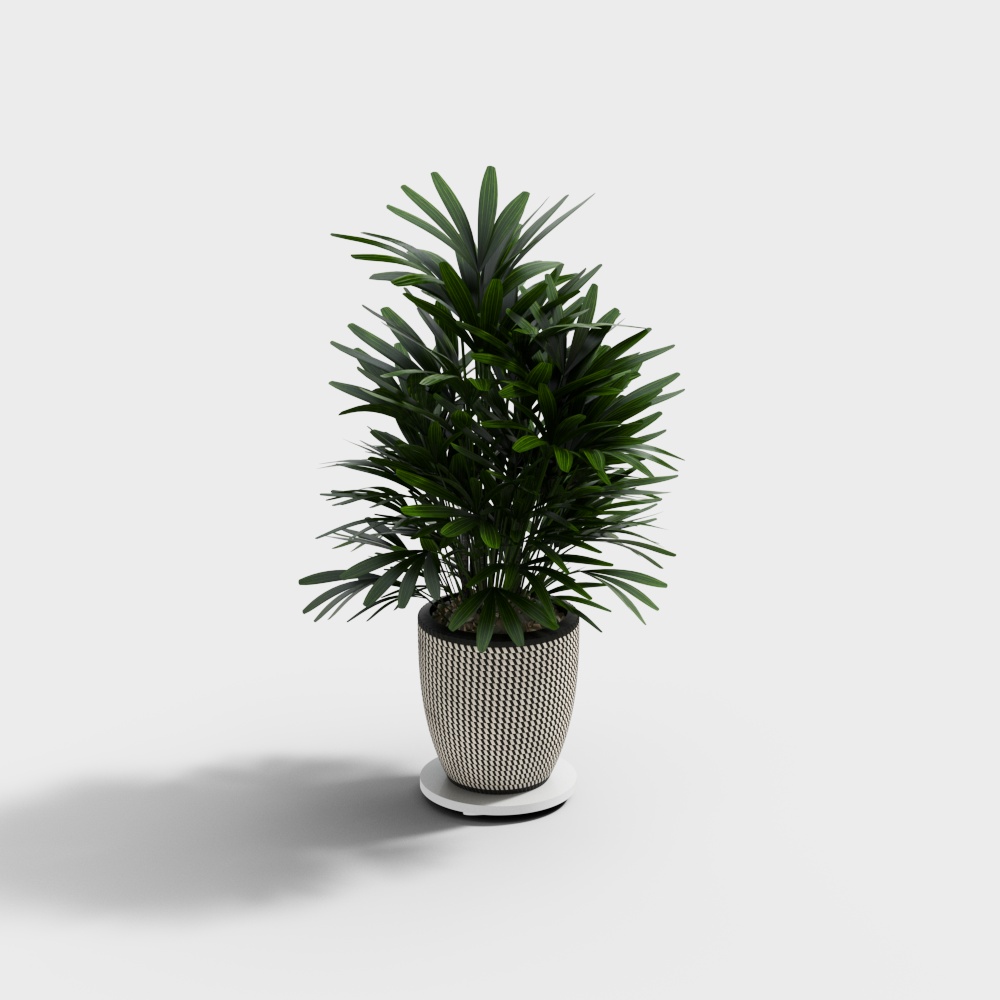 houseplant