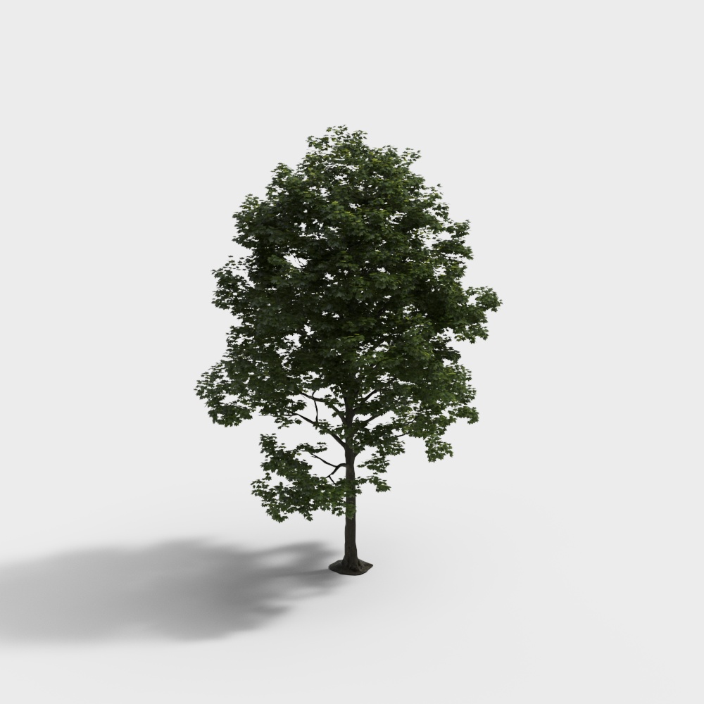 ต้นไม้ใหญ่