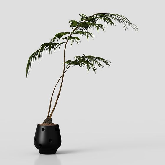 Ultra-Realistic Indoor Potted Plant 3D model