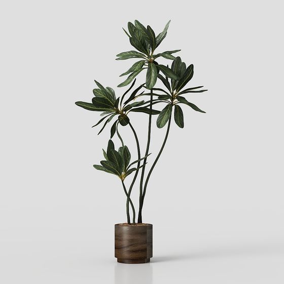 Low-Poly Indoor Plant Pot 3D model