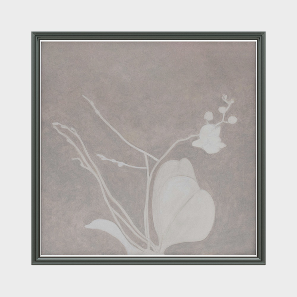 Simple decorative paintings of ancient plants