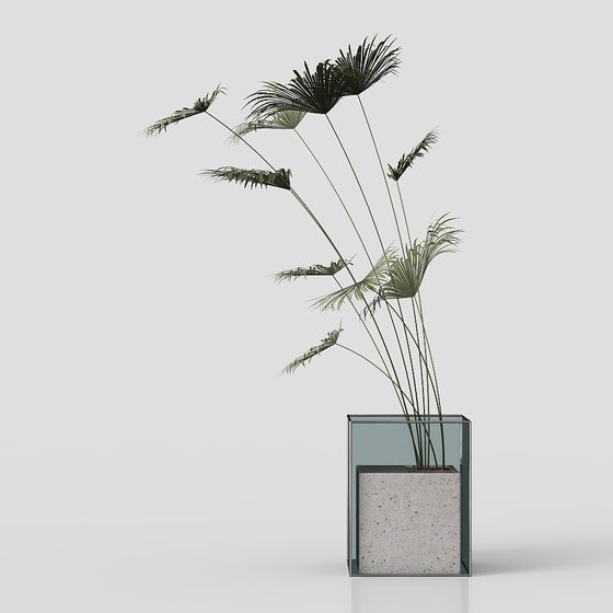 Urban Plant 3D model for Modern Design