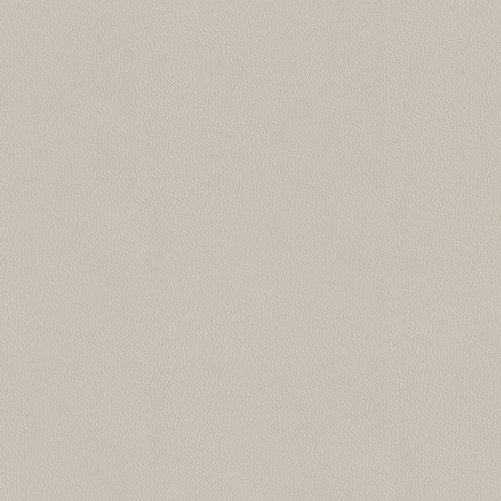 Hermes Fine Grain Leather Texture 3D Model in Beige
