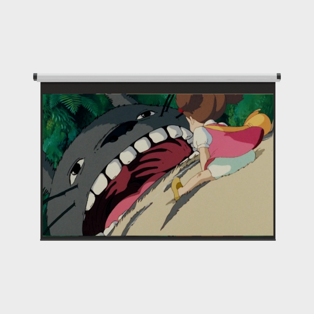 Film projection screen