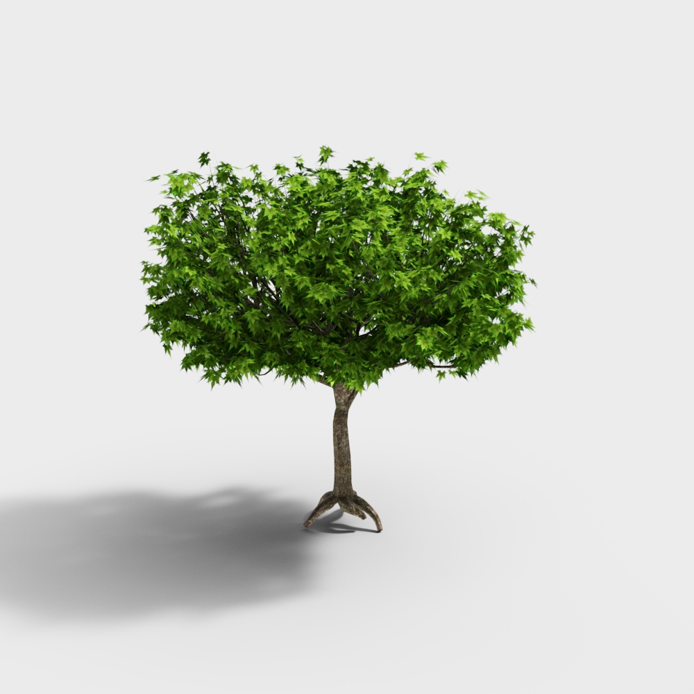 Cảnh xanh ngoài trời