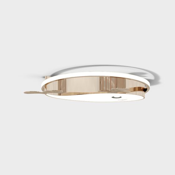 Elegant Ceiling Light 3D model