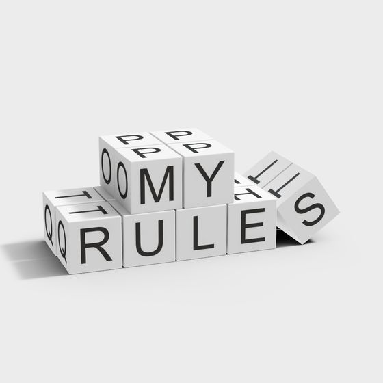 My Rules 3D model