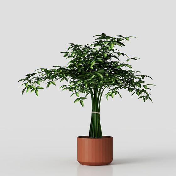 Low Poly Indoor Plant 3D Model