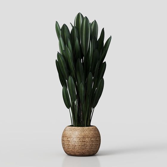 Realistic Bamboo Plant 3D Model