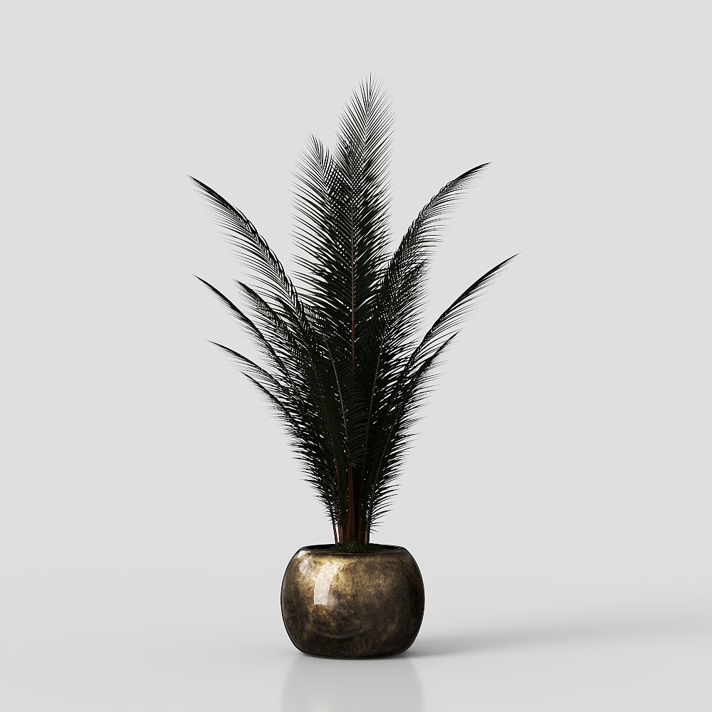 Modern living room greenery