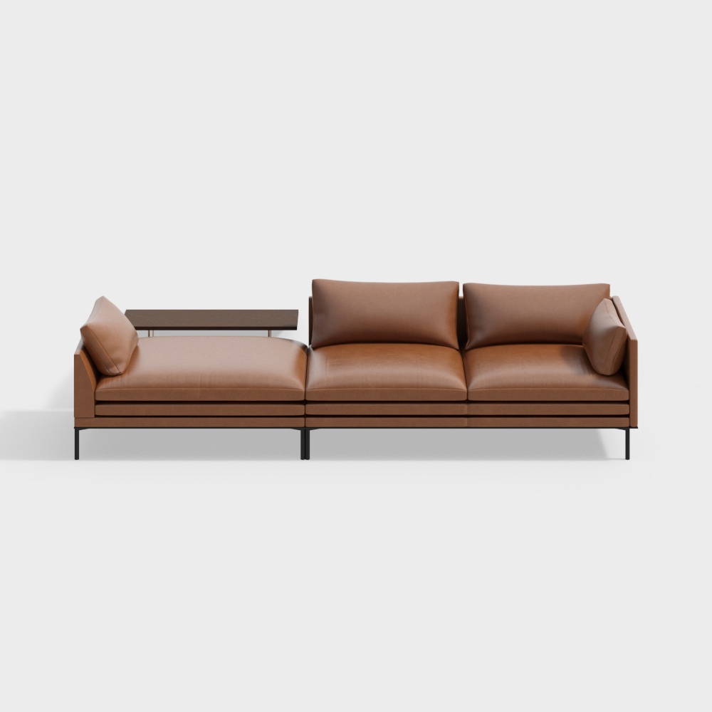 Modern living room sofa