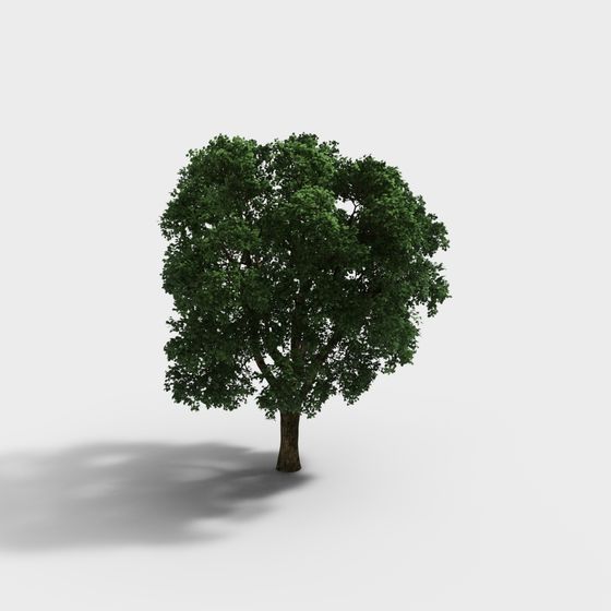 Realistic Low-Poly Oak Tree 3D Model