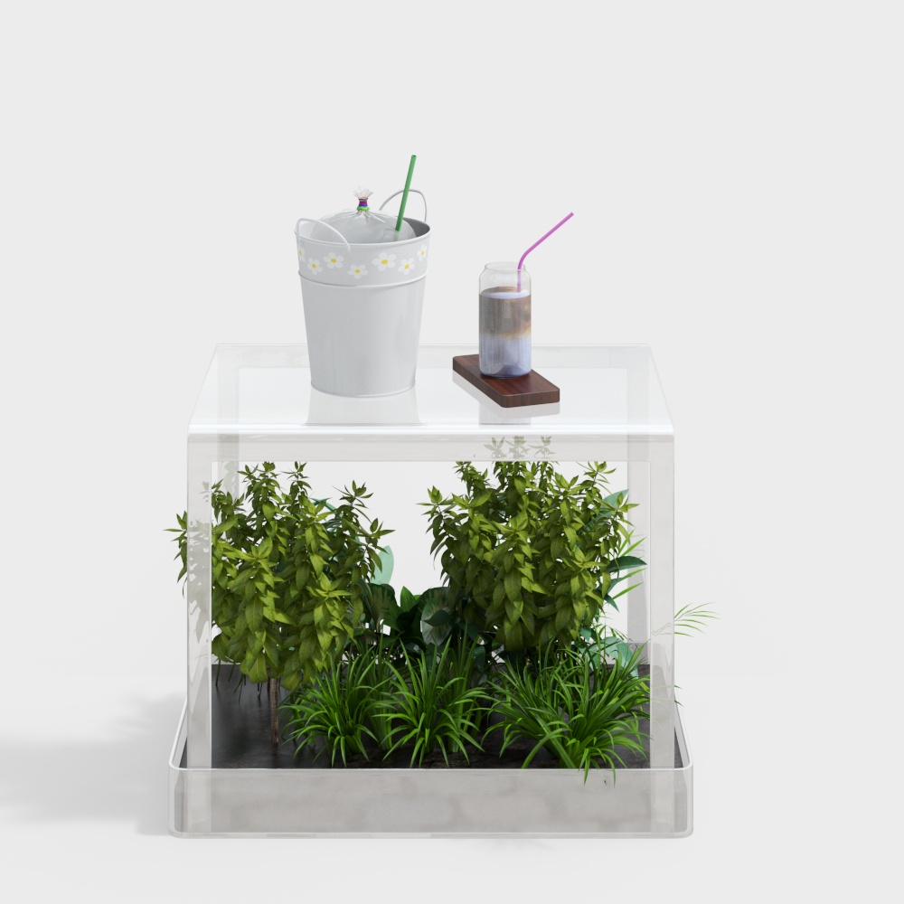 Cây xanh Đông Nam Á trang trí