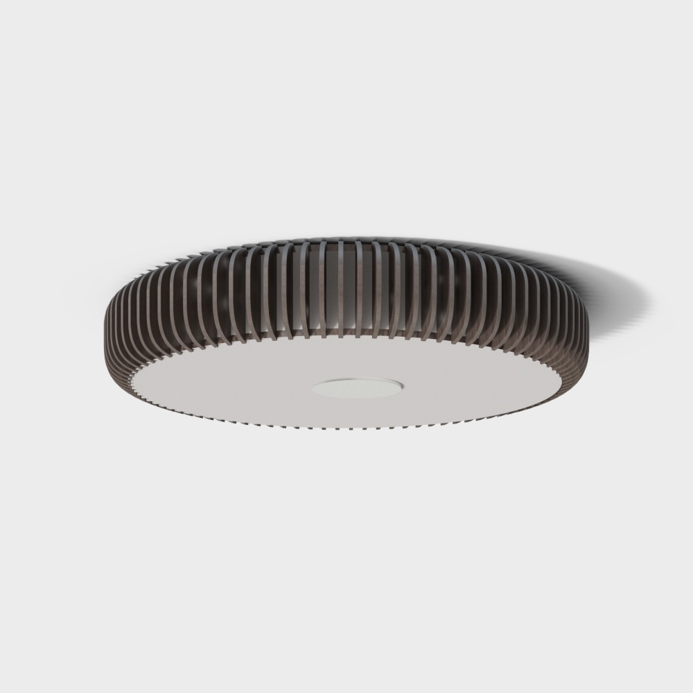 Round ceiling light