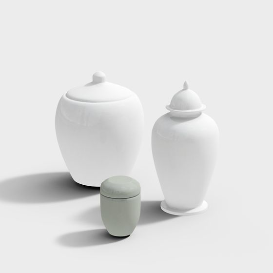 Elegant Storage Jars 3D model